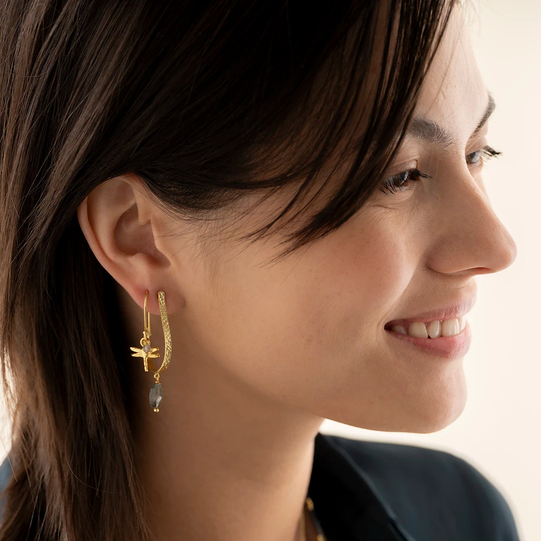 Generous Labradorite Earrings Gold Plated