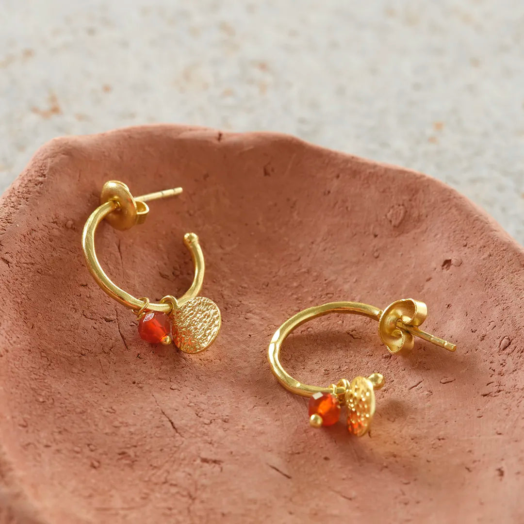 Sincere Carnelian Earrings Gold Plated