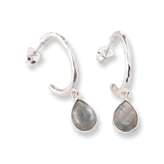 Admiring Labradorite Earrings Silver Plated