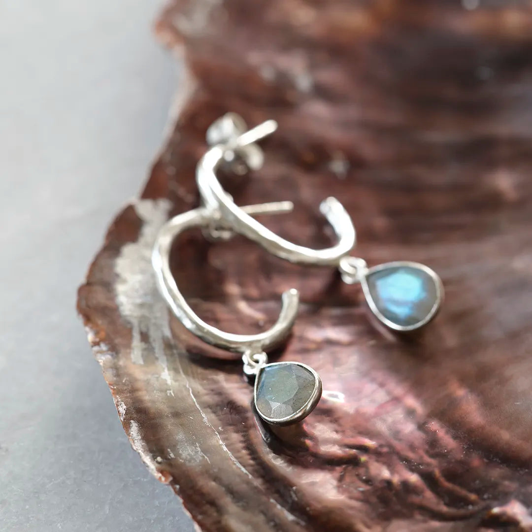 Admiring Labradorite Earrings Silver Plated