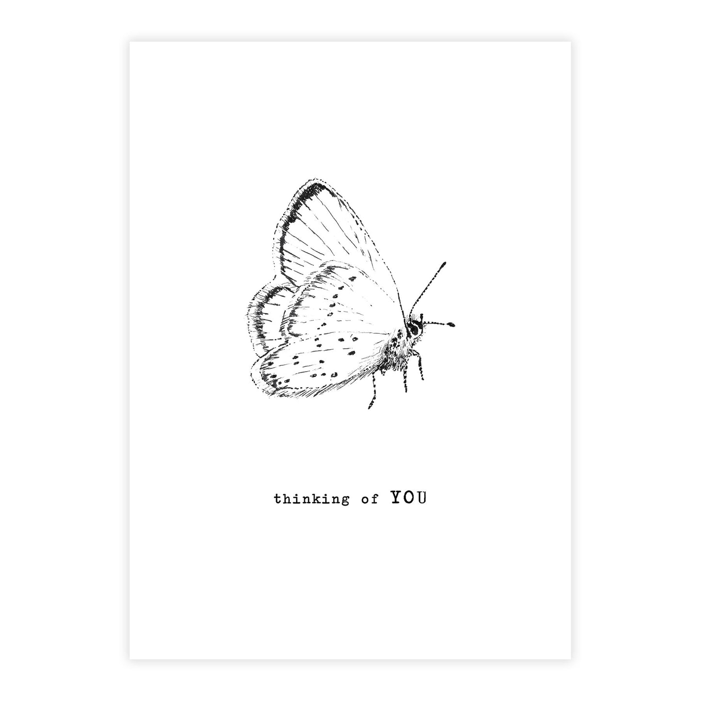 Greeting Card Butterfly