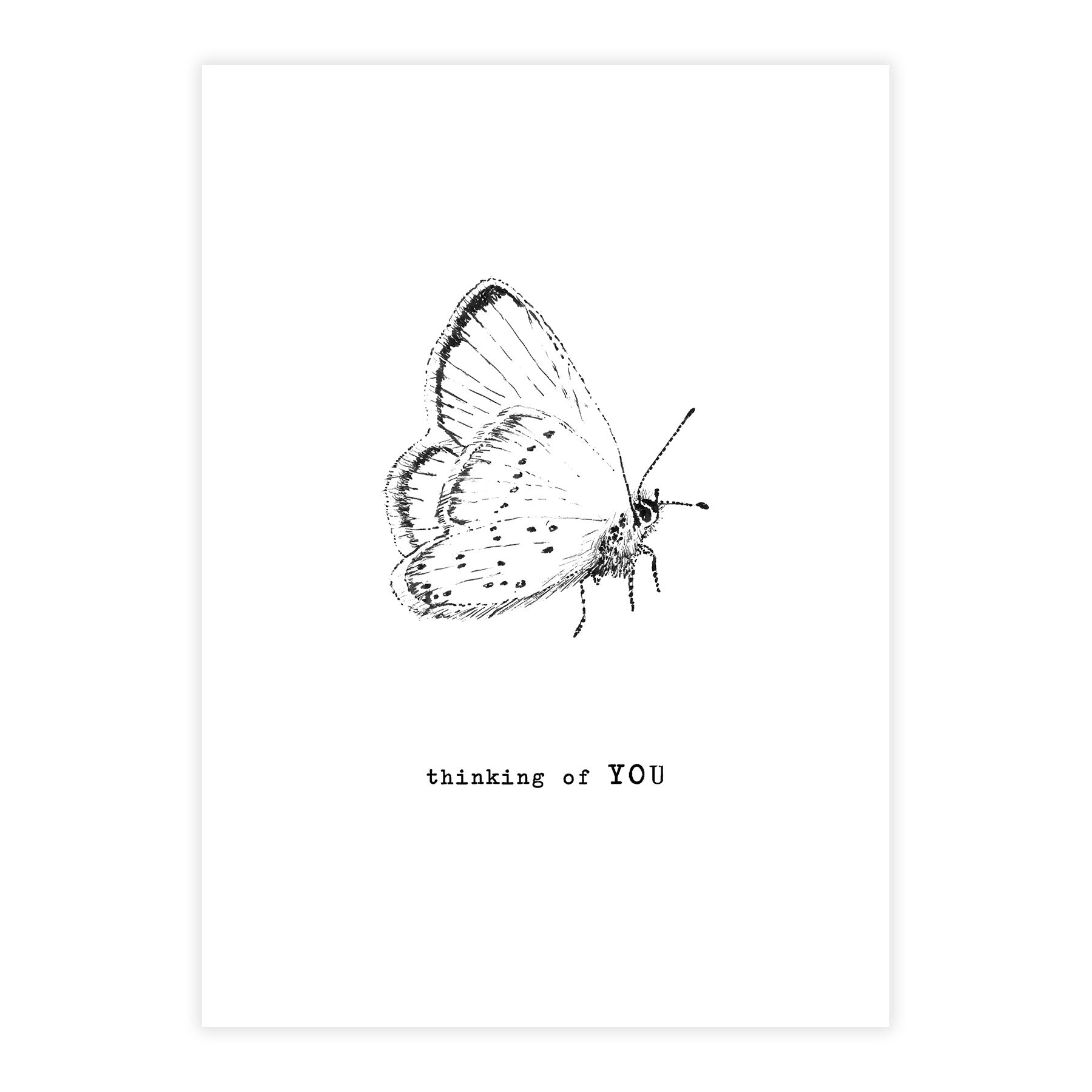 Greeting Card Butterfly