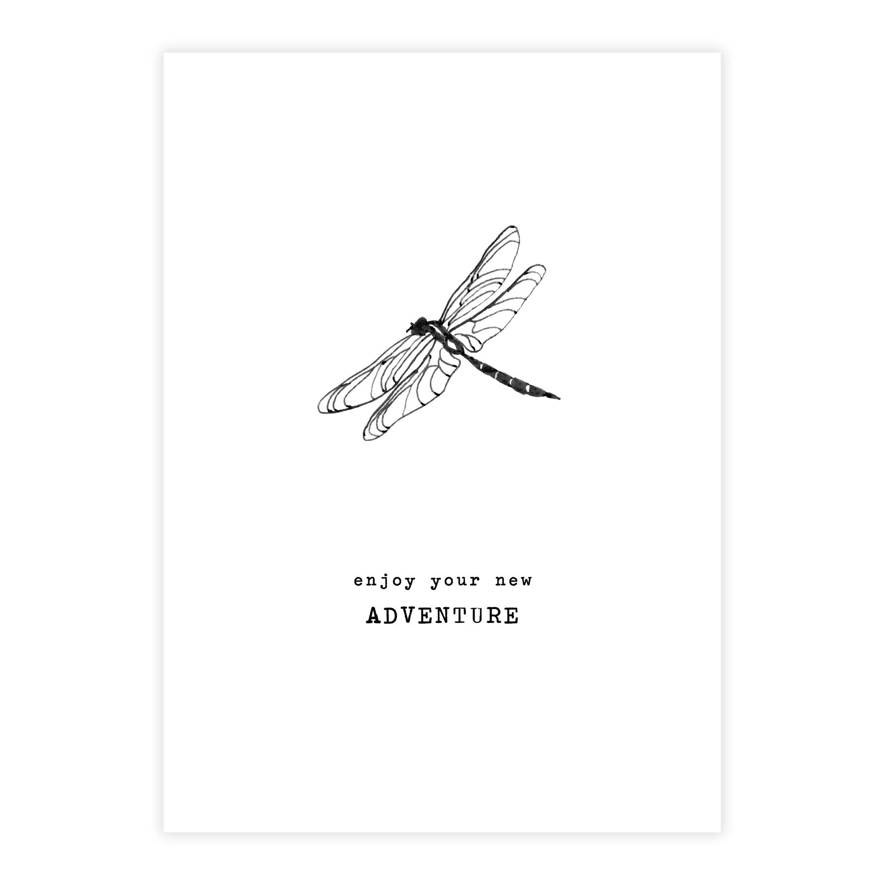 Greeting Card Dragonfly