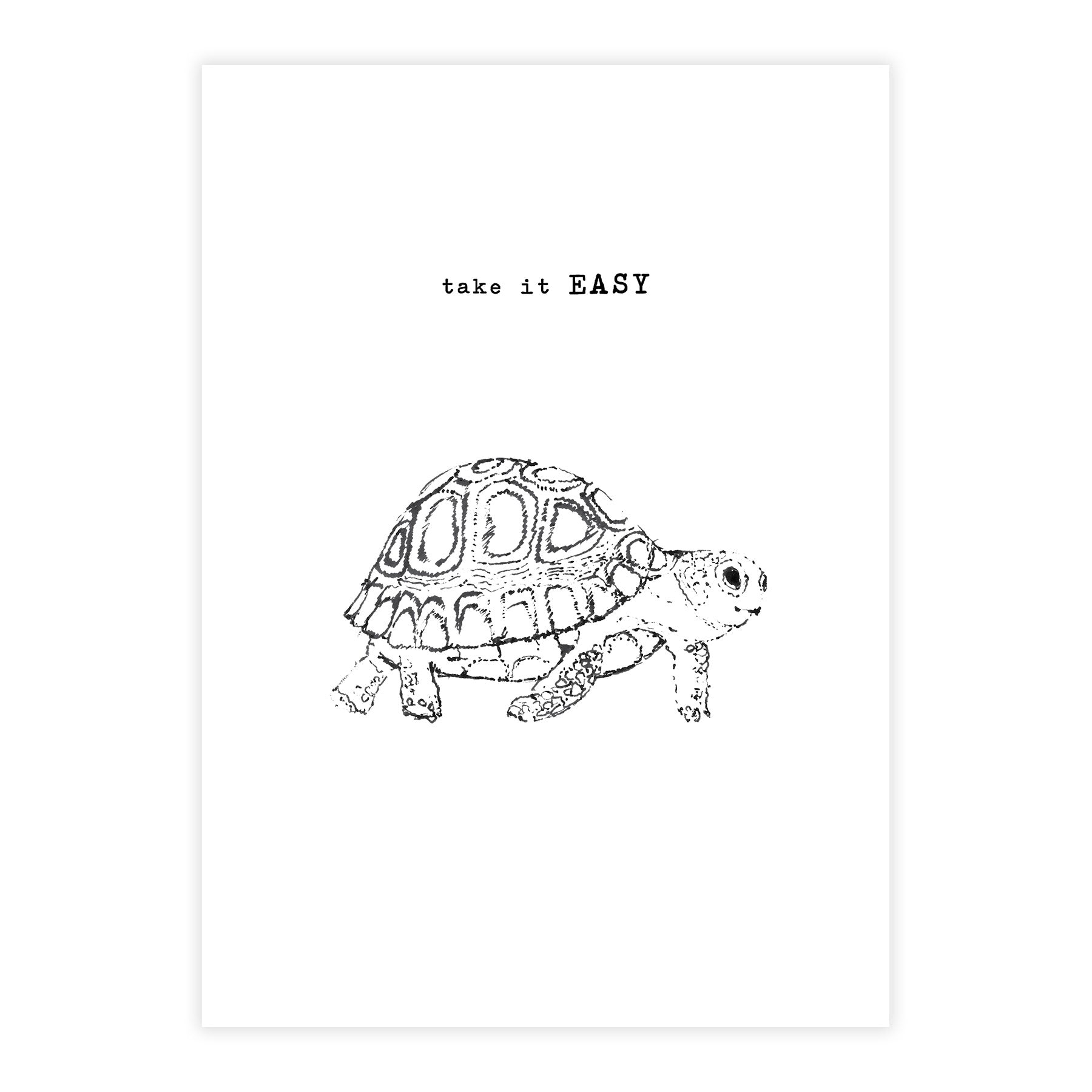 Greeting Card Turtle